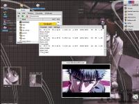 MPlayer en BeOS