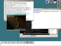 MPlayer pod OpenDarwin