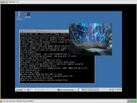 MPlayer pod ReactOS